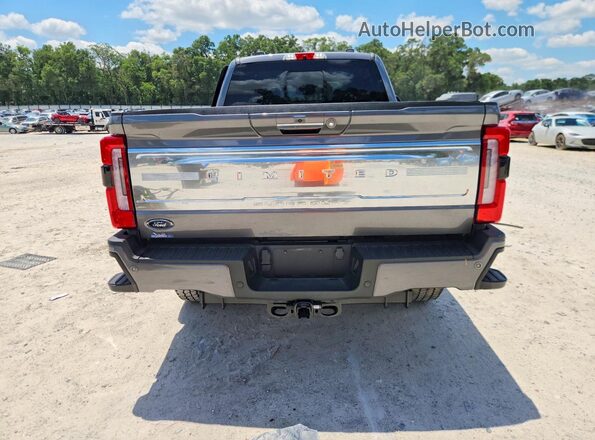 1FT8W3BMXREF93501 2024 FORD F350 Серый Вид сзади
