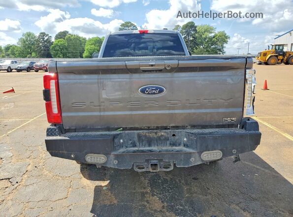 1FT8W3BT5REF17160 2024 FORD F350 Silver Вид ззаду