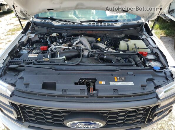 1FT8X3BT8SEE09909 2025 FORD F350 Белый Вид задней части салона