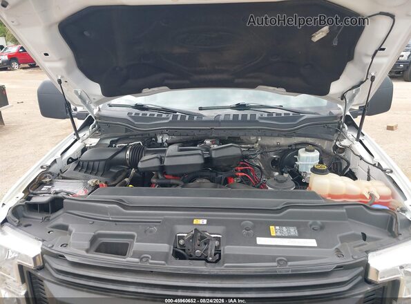 1FTBF2A61HED16866 2017 FORD F-250 White Widok z tyłu