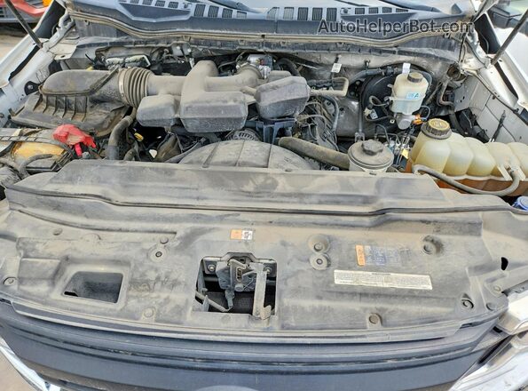 1FTBF2A6XKEC83082 2019 FORD F250 White უკანა სალონის ხედი