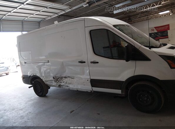 1FTBR1C87RKB80844 2024 FORD TRANSIT-250 Красный Вид задней части салона