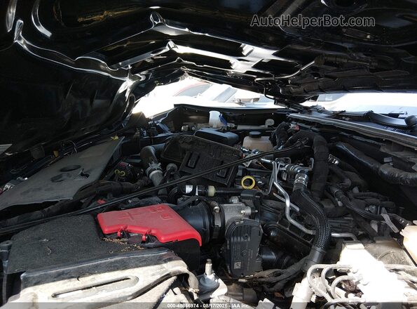 1FTER4BH0SLE28206 2025 FORD RANGER Black Rear view