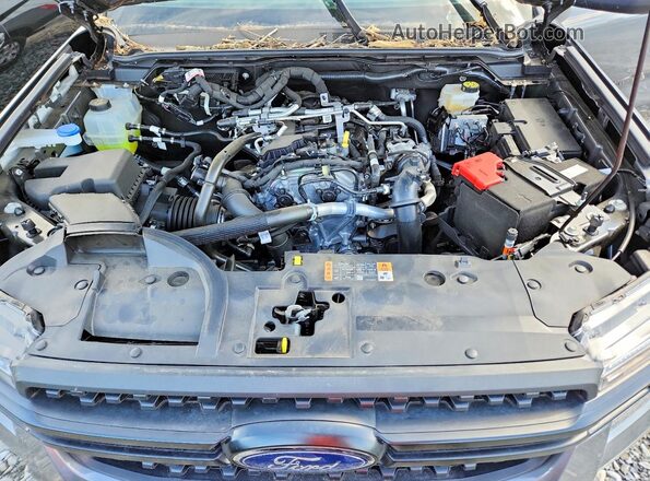 1FTER4BH2SLE49901 2025 FORD RANGER Gray Vista interior trasera