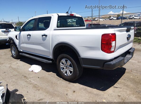 1FTER4BH8RLE49394 2024 FORD RANGER White Tył lewy