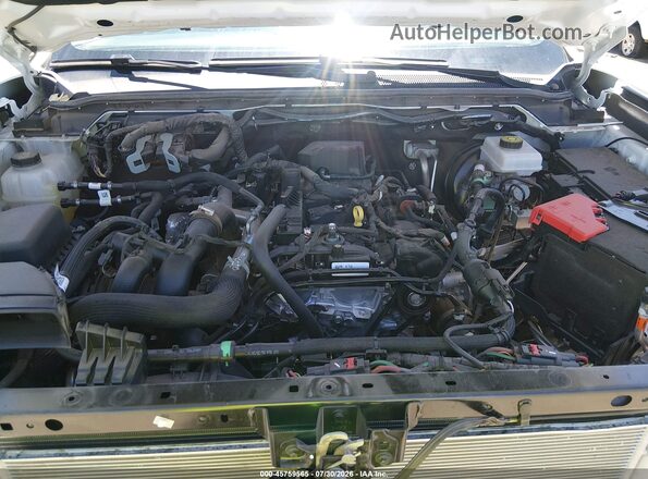 1FTER4BH8RLE49394 2024 FORD RANGER White Widok z tyłu
