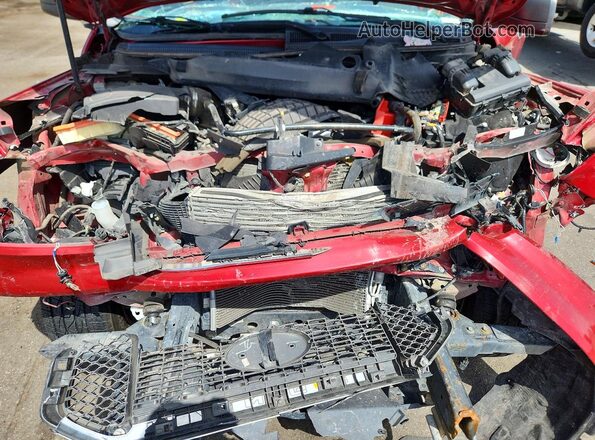 1FTER4FH1LLA35455 2020 FORD RANGER Red Widok wnętrza z tyłu