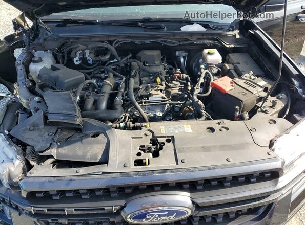 1FTER4GH9RLE35111 2024 FORD RANGER Black უკანა სალონის ხედი