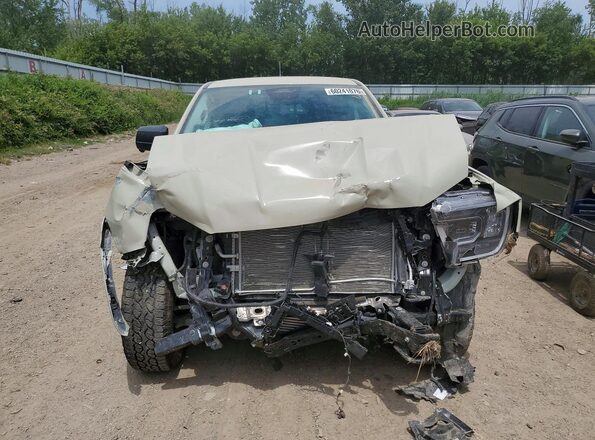 1FTER4HH0SLE17651 2025 FORD RANGER Tan Widok z przodu