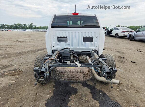 1FTER4HH4RLE15525 2024 FORD RANGER White Rear view