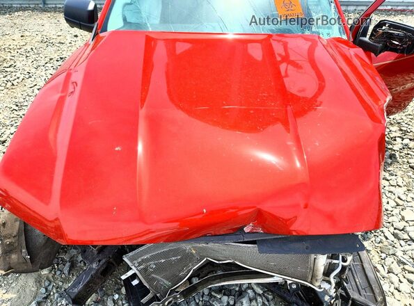 1FTER4HH7RLE21898 2024 FORD RANGER Red Widok wnętrza z tyłu