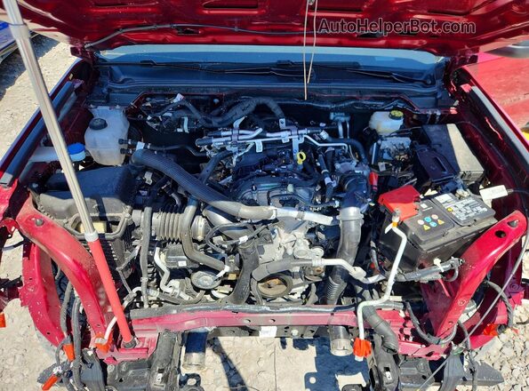 1FTER4HH7SLE70282 2025 FORD RANGER Red Սալոնի հետևի տեսք