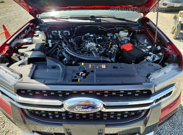 1FTER4KP6TLE27313 2026 FORD RANGER Red Սալոնի հետևի տեսք