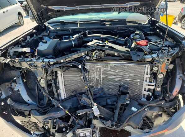 1FTER4LR1SLE76871 2025 FORD RANGER Серый Вид задней части салона