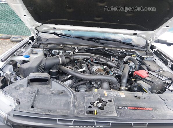 1FTER4LR3SLE04411 2025 FORD RANGER White Հետևի տեսք