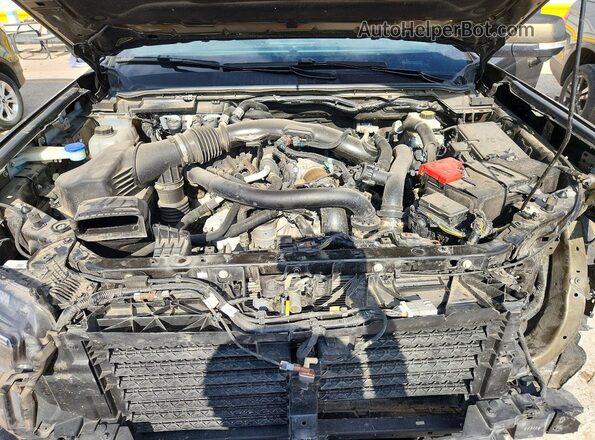 1FTER4LR4RLE23494 2024 FORD RANGER Зеленый Вид задней части салона