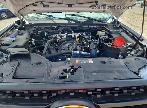 1FTER4PH1SLE21046 2025 FORD RANGER White Սալոնի հետևի տեսք