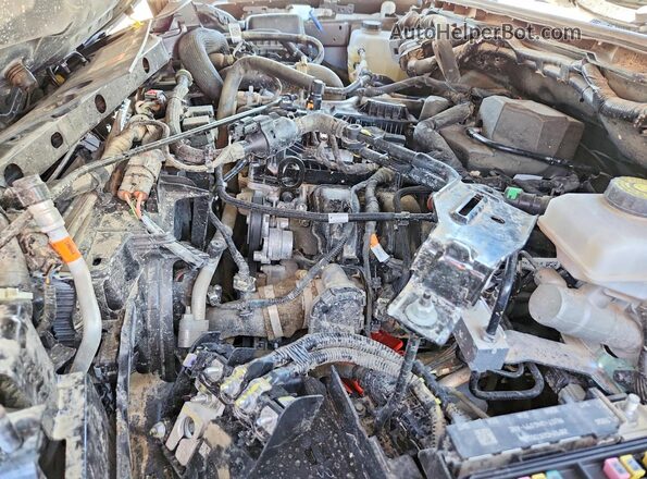 1FTER4PH3RLE69237 2024 FORD RANGER Charcoal უკანა სალონის ხედი