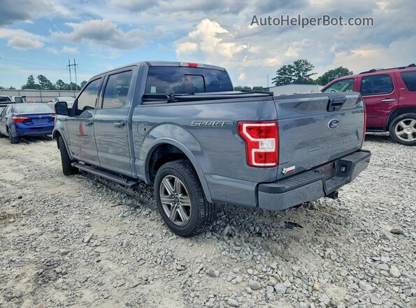 1FTEW1C43KKC31961 2019 FORD F150 Gray უკანა მარცხენა