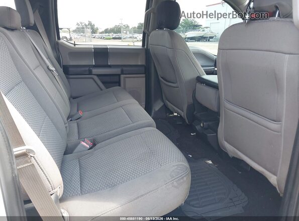 1FTEW1C47KKC52439 2019 FORD F150 White VIN sticker view