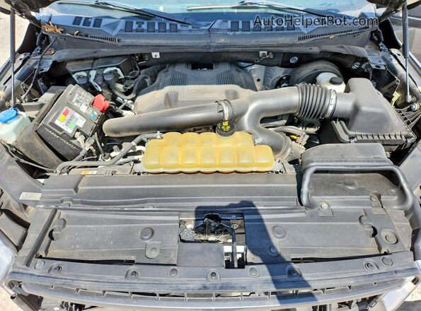 1FTEW1C48LKE34717 2020 FORD F150 Gray Вид задньої частини салону