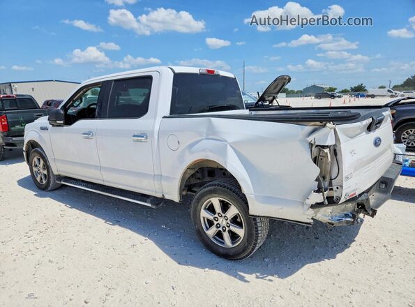 1FTEW1C51KKF31670 2019 FORD F150 Белый Задняя левая четверть