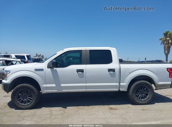 1FTEW1C52KFA21952 2019 FORD F150 White 