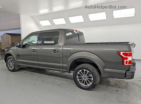 1FTEW1C53LKD97424 2020 FORD F150 Gray Հետևի ձախ