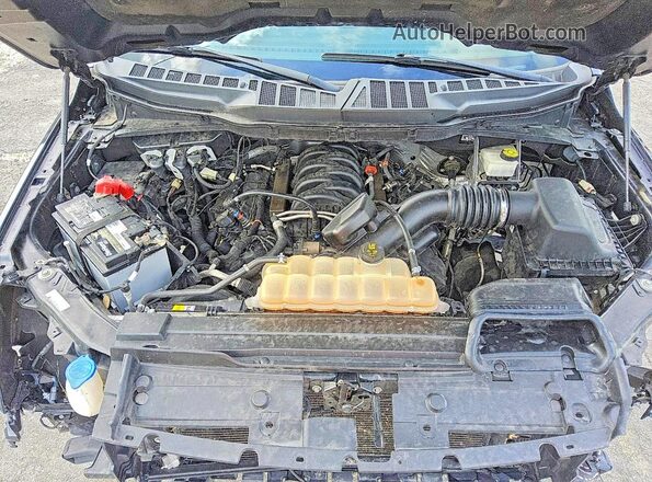 1FTEW1C56MFC40030 2021 FORD F150 Синий Вид задней части салона