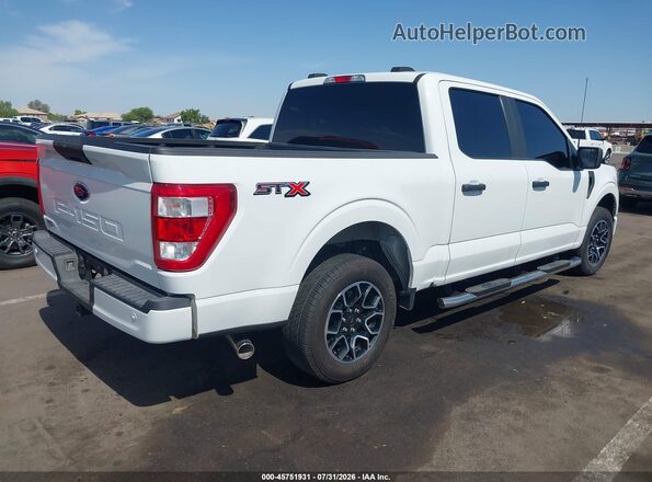1FTEW1C56PFB93702 2023 FORD F150 White Tył prawy