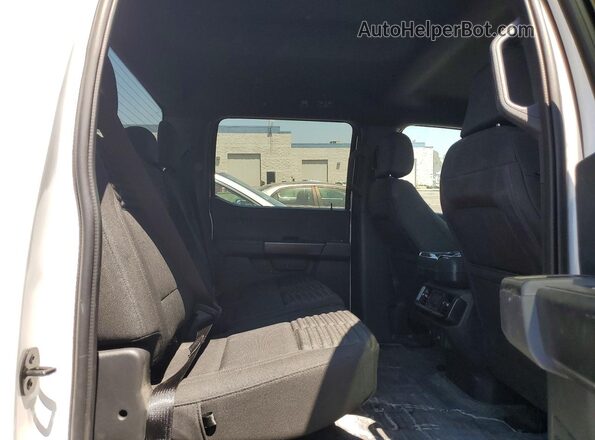 1FTEW1C57PFA98310 2023 FORD F150 White უკანა სავარძლების ხედი