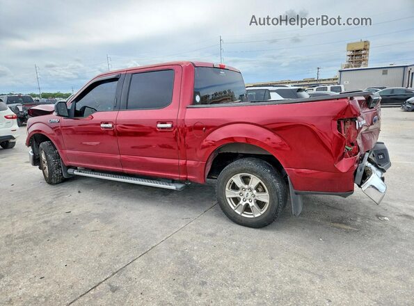 1FTEW1C88GFB81464 2016 FORD F150 Red Trasero izquierdo
