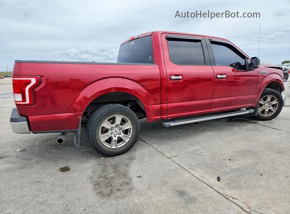 1FTEW1C88GFB81464 2016 FORD F150 Red Trasero derecho