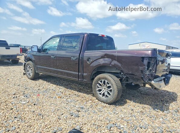 1FTEW1CB1KKD18014 2019 FORD F150 Purple Tył lewy