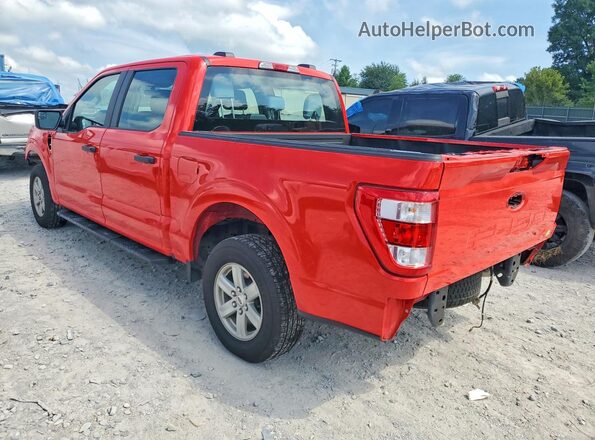 1FTEW1CB3PKF06587 2023 FORD F150 Red უკანა მარცხენა