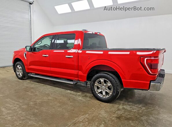 1FTEW1CBXMKE66536 2021 FORD F150 Красный Задняя левая четверть