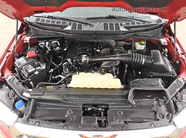 1FTEW1CBXMKE66536 2021 FORD F150 Красный 