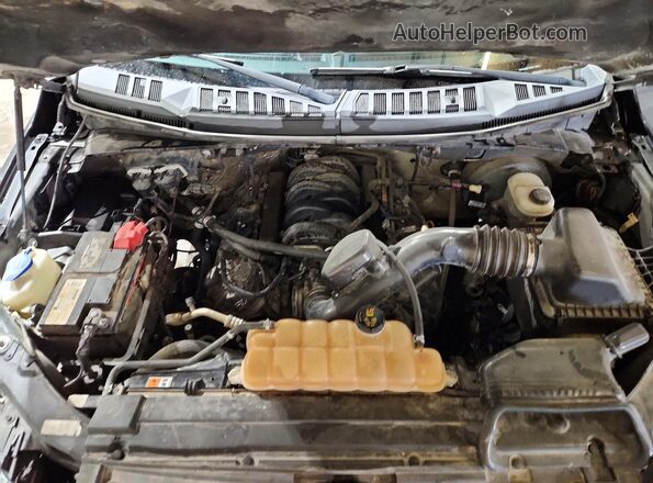1FTEW1CF0GKF44443 2016 FORD F150 Gray Սալոնի հետևի տեսք