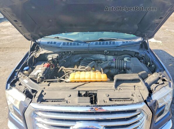 1FTEW1CF1GFD35849 2016 FORD F150 Синий Вид задней части салона