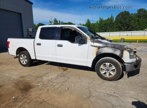 1FTEW1CF4GKF33638 2016 FORD F150 White Առջևի աջ