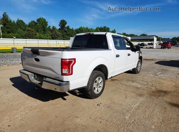 1FTEW1CF4GKF33638 2016 FORD F150 White Հետևի աջ
