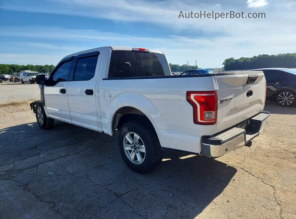 1FTEW1CF4GKF33638 2016 FORD F150 White Հետևի ձախ