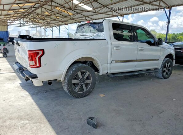 1FTEW1CF4HFA18648 2017 FORD F150 White Tył prawy