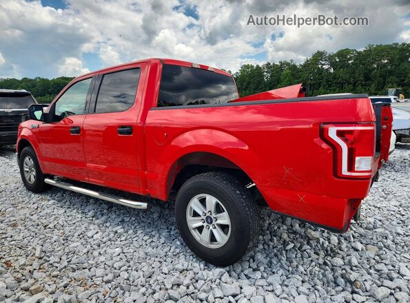 1FTEW1CF6GFA17452 2016 FORD F150 Red Tył lewy