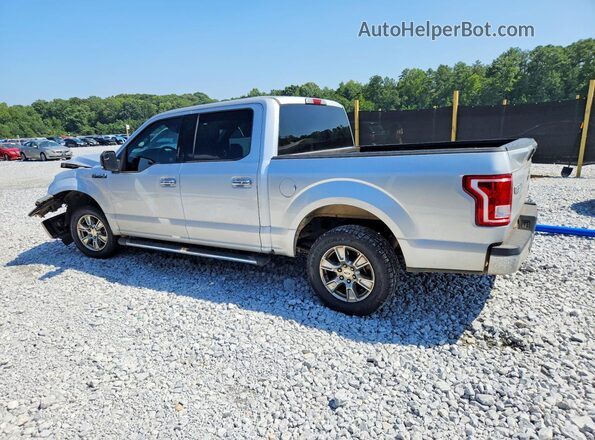 1FTEW1CF7HKE44440 2017 FORD F150 Silver Հետևի ձախ