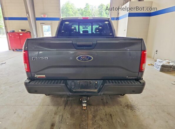 1FTEW1CF8HFA09905 2017 FORD F150 Gray Вид ззаду