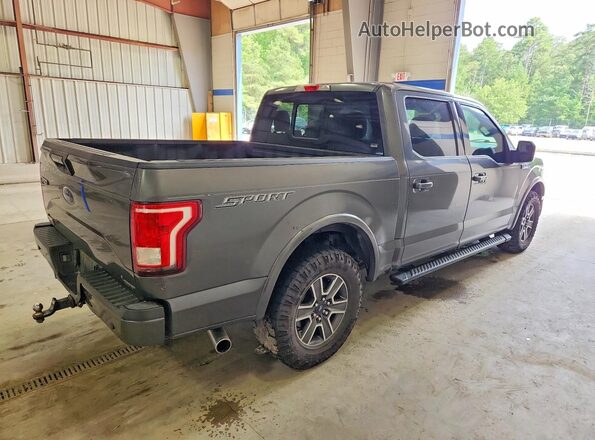 1FTEW1CF8HFA09905 2017 FORD F150 Gray Задня права чверть