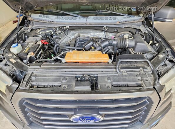 1FTEW1CF8HFA09905 2017 FORD F150 Gray Вид задньої частини салону