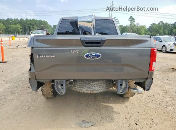 1FTEW1CG4HKE05068 2017 FORD F150 Charcoal უკანა ხედი