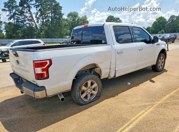 1FTEW1CP1KKC84894 2019 FORD F150 White Հետևի աջ